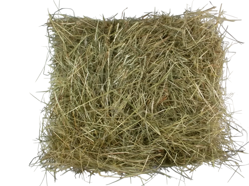 Premium Heu 1. Schnitt - Weiches Wiesenheu Für Meerschweinchen & Kaninchen